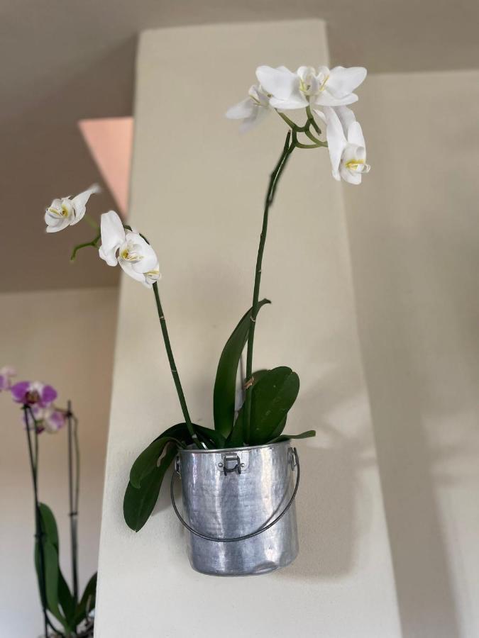Beb Montefratta Bed & Breakfast ฟราตตา แตร์เม ภายนอก รูปภาพ