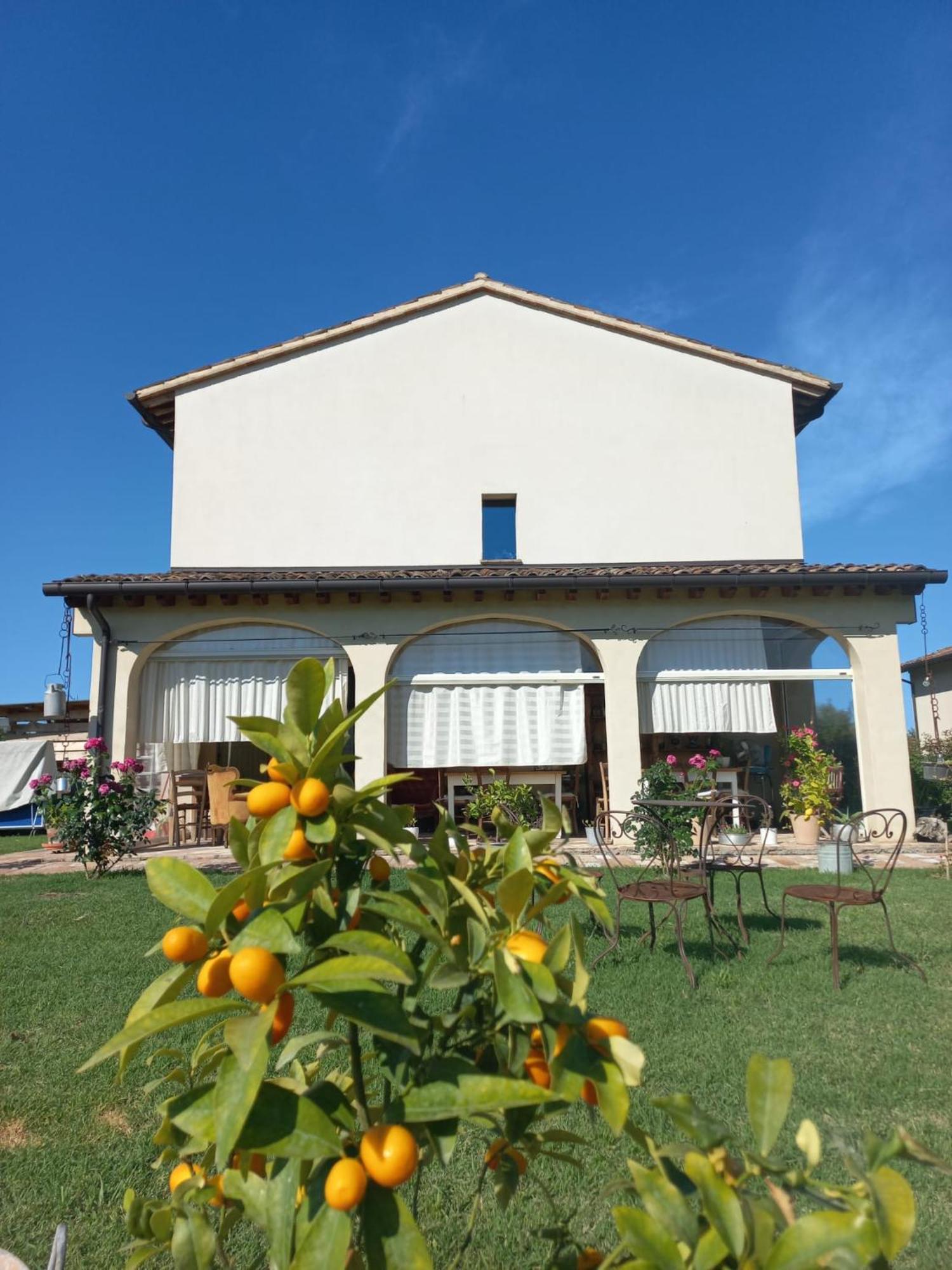 Beb Montefratta Bed & Breakfast ฟราตตา แตร์เม ภายนอก รูปภาพ