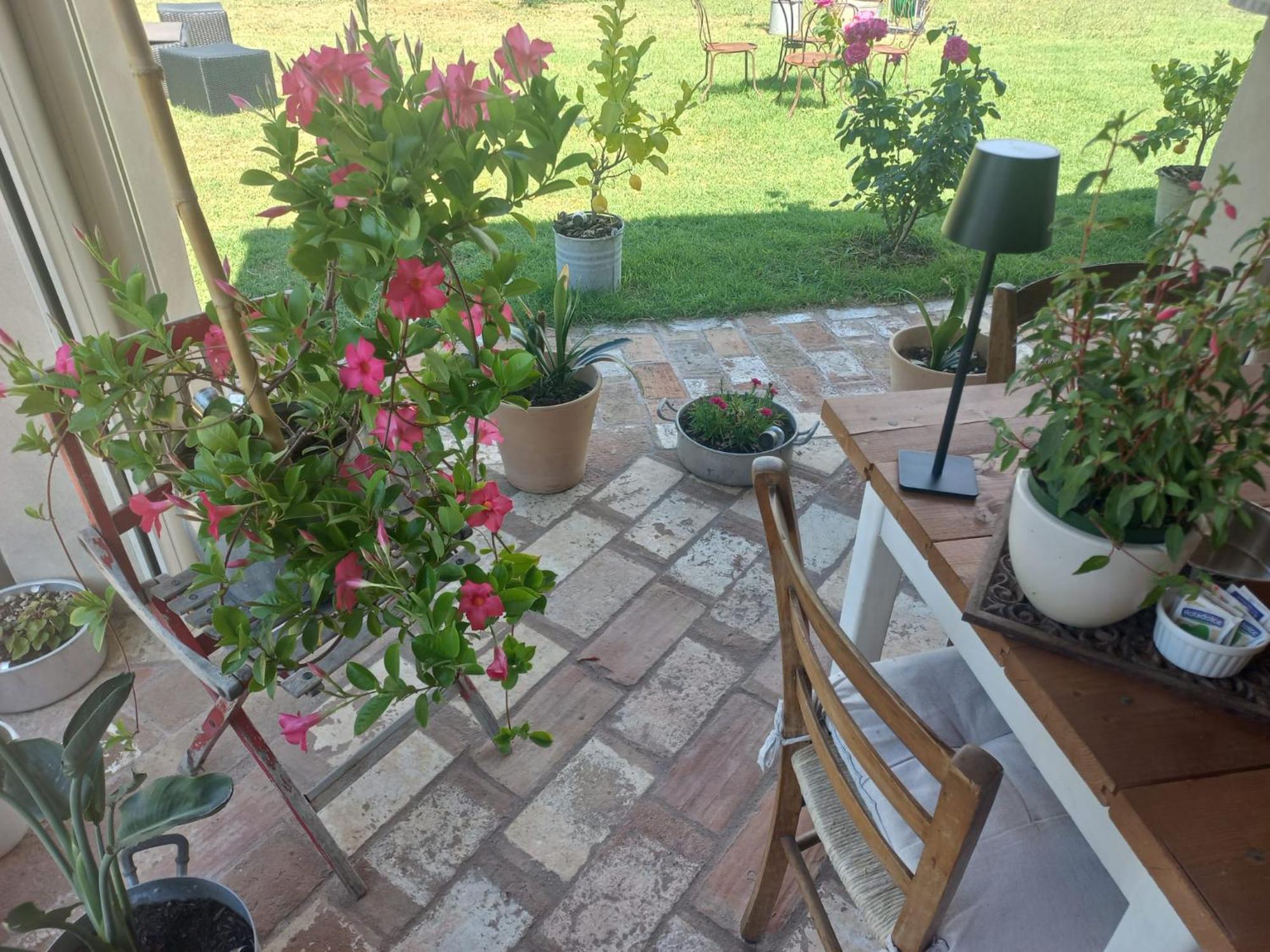 Beb Montefratta Bed & Breakfast ฟราตตา แตร์เม ภายนอก รูปภาพ