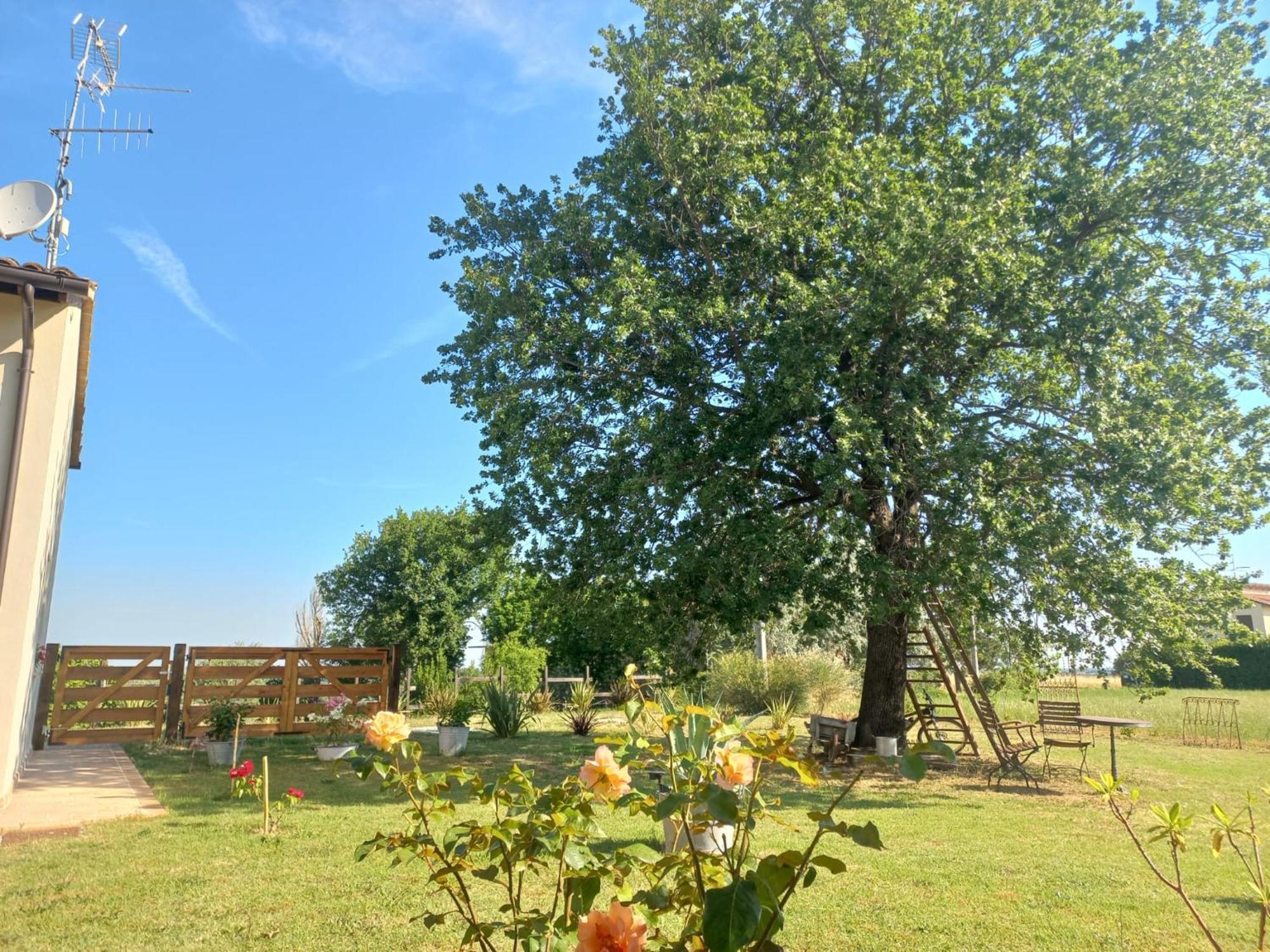 Beb Montefratta Bed & Breakfast ฟราตตา แตร์เม ภายนอก รูปภาพ